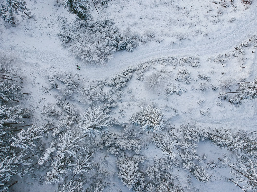 Drohnenfoto – Luftaufnahme eines verschneiten Waldes in Kärnten